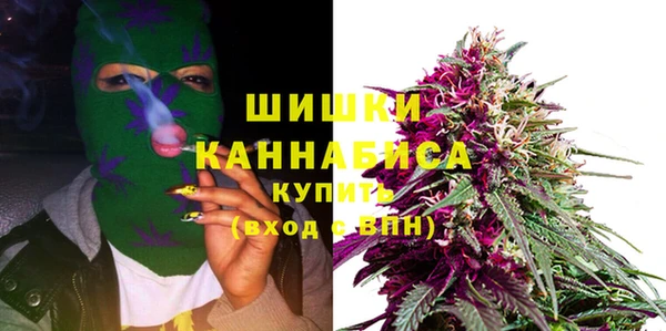 шишки Майский
