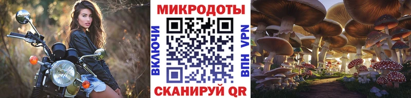 закладки  Переславль-Залесский  Псилоцибиновые грибы Magic Shrooms 